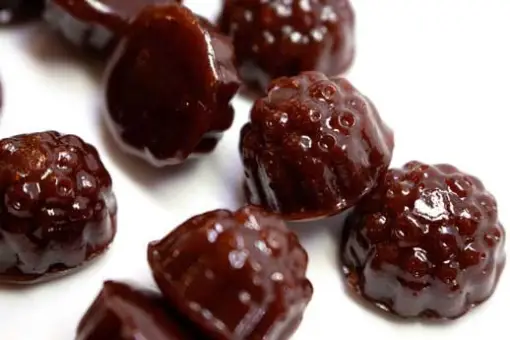 dames Dames Gummy Co. – Shroom Gummies (1500mg)